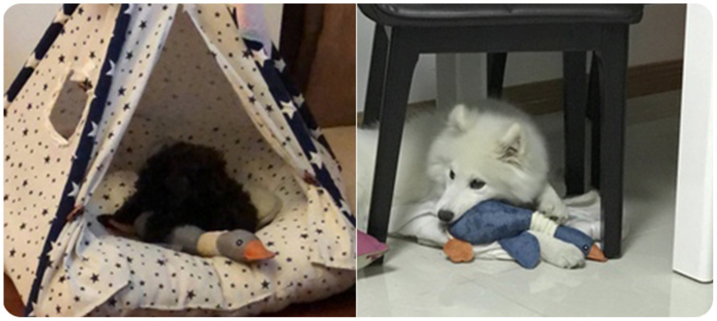 Duck Goose Squeaky Toy