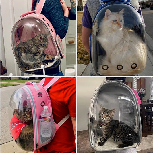 Cat, Small Dog, and Small Animal Backpack and Outdoor Carrier
