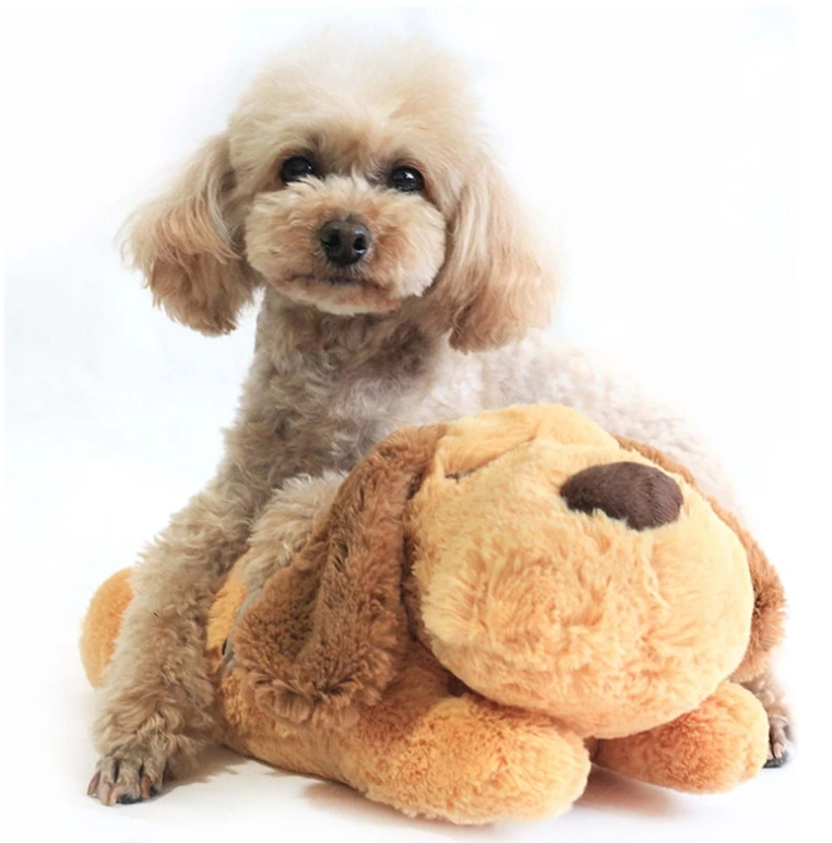 Behavioral Heartbeat Pet Toy