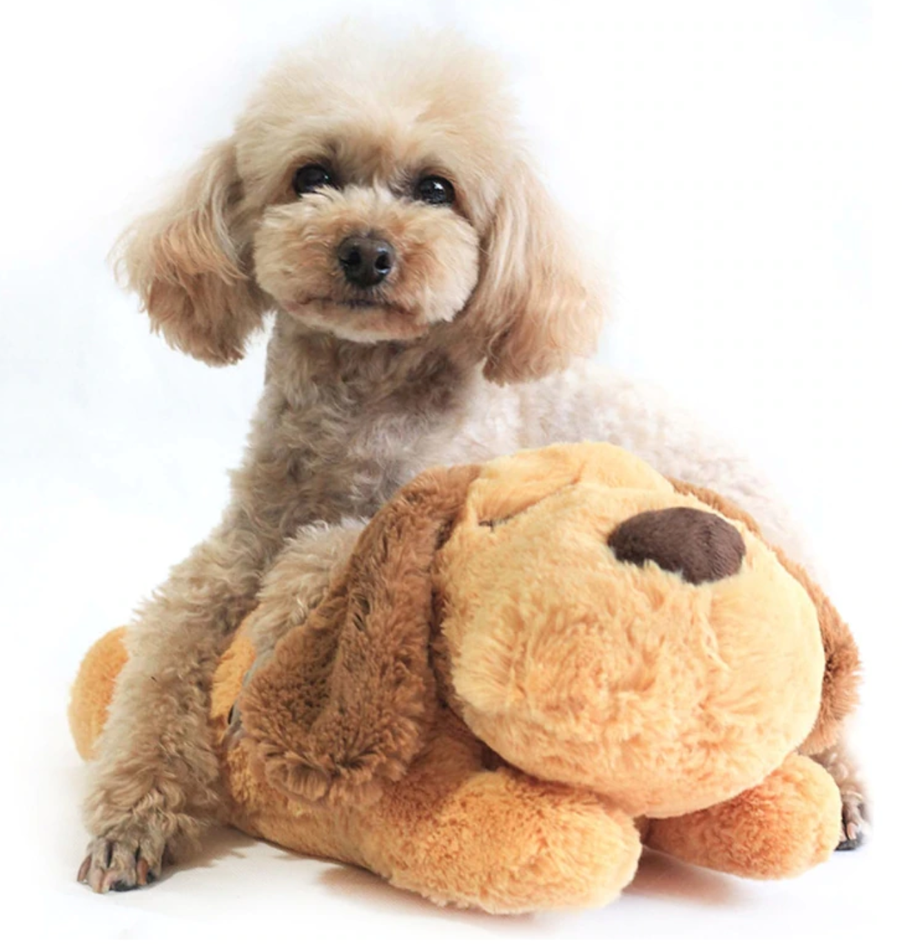 Heartbeat Behavioral Puppy Toy