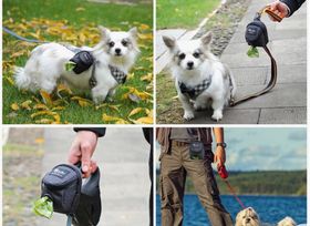 Outdoor Waist Bag for Dog Snacks and Bags