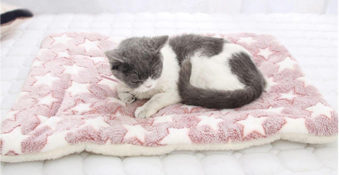 Soft Plush Flannel Fleece Pet Mat